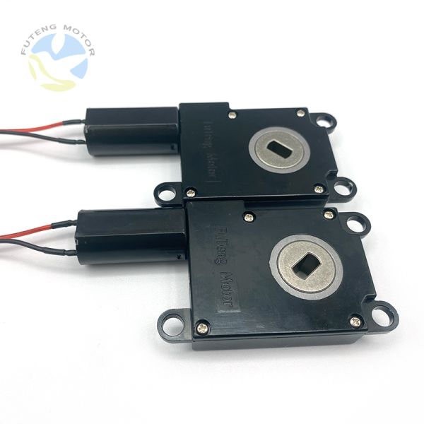 FT-63SGM190 China Factory 3-24V DC Micro Motor Electric Worm Gear Motors Smart Door Lock Motors