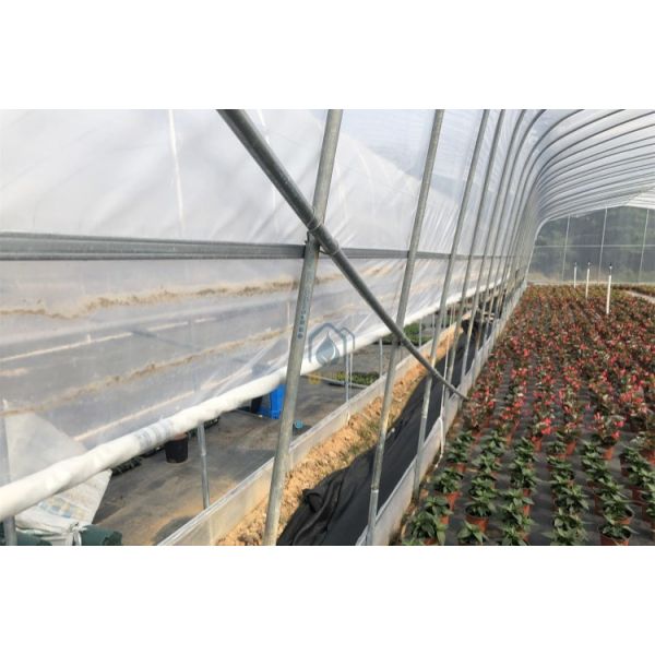 Hot Dip Galvanized Agricultural Green House Arched Poly Tunnel Green Houses