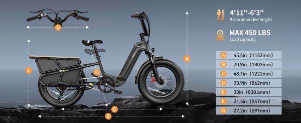 20 Inch Fat Tire  Rack for Carrying Goods & Passengers, Powerful Motor, Long Range Long Tail Electric Bike with Cargo