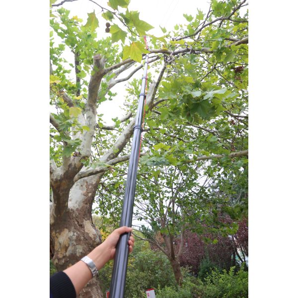 50ft Carbon Fiber Harvesting Pole For Coconut and Betel Nut Harvesting for India and Bangladesh Market OEM