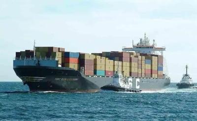 FCL Ocean Container Shipping Forwarder China To Middle East