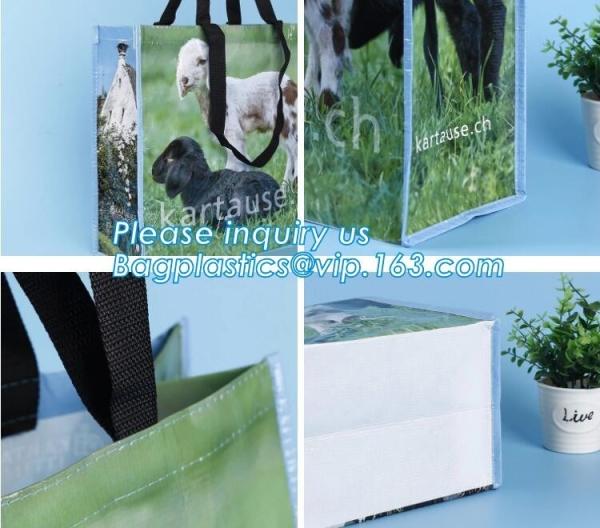 heat transfer printed pp woven fruit multifuction foldable tote shopping bags, eco woven fabric 60gsm-140gsm, optimizing