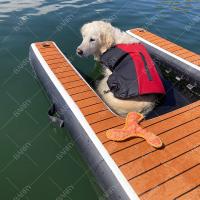 Tissus à couture à la chute Eva Taille personnalisée et pompe à air accessoire pliable gonflable rampes d'eau pour chiens pour yacht de quai