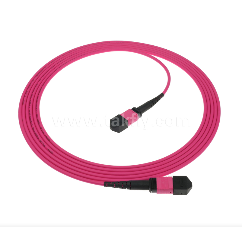 MPO/MTP OM4 Patch Cord – High-Density Multimode Connectivity for Next-Gen Data Centers
