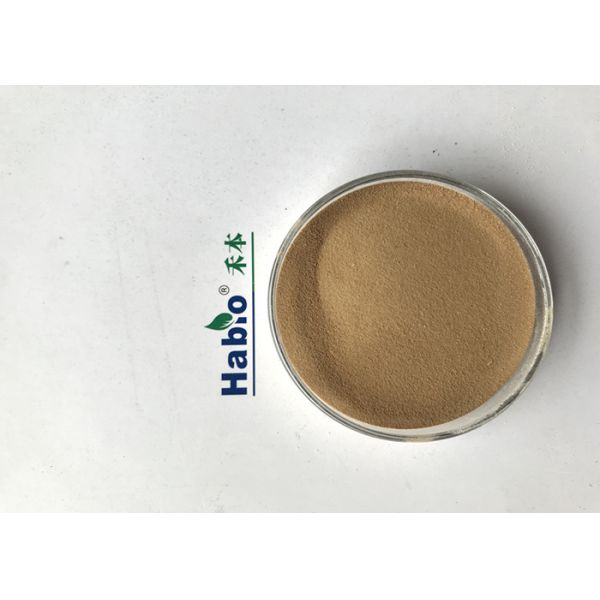 Habio Alpha Amylase Pure Deep Fermentation Mid Temperature α Amylase yellow Podwer For Feed Food and Industrial use