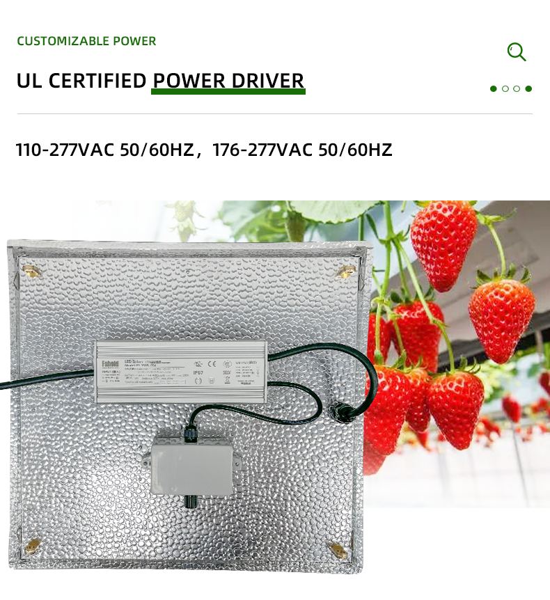 La luz de la tabla cuántica de invernadero para crecer para la tienda de cultivo