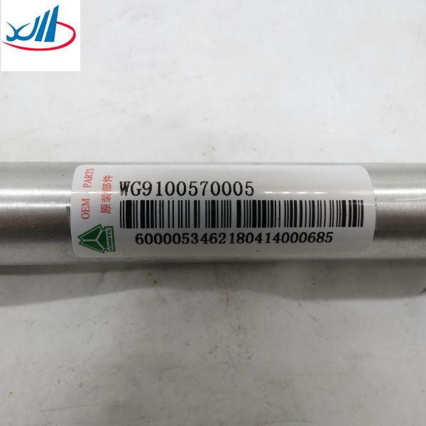 Howo Sinotruk Heavy Duty Truck Parts Oil Stop Cylinder WG9100570005