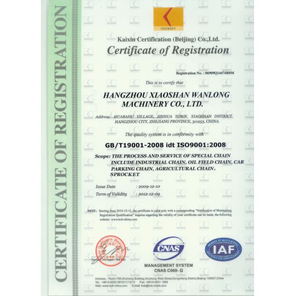 80-1 16S-1 Oil Field Chain