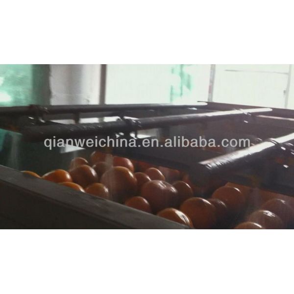 Commercial Orange Juicer Machine Orange Juice Production Line Orange Peeler Machine Peeling