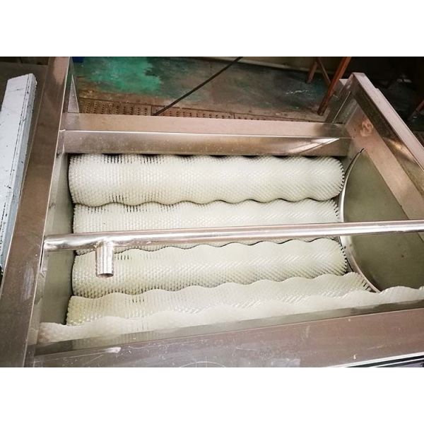 automatic commercial carrot/ginger/potato/fish/Hawthorn washing and polishing machine