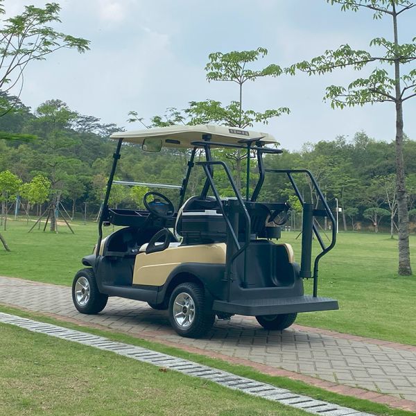 2 Passengers Aluminum Chassis Electric Golf Cart With 48V Lithium Battery Long Range High Climbing Ability