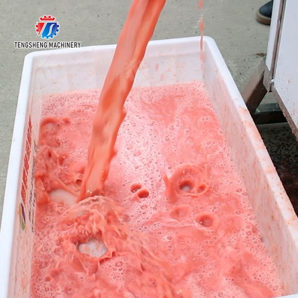 minced meat minced pork juicer fruit juice orange juice Tomato juice apple juice celery juice Celery Celery Juice kale Kale Juice ginger juice Herbs Fruit Beef Pork Chicken Lamb Fish MEAT radish