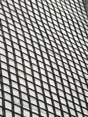 Polymer Matrix Combined Composite Geogrid 1-6m Width For City Greening