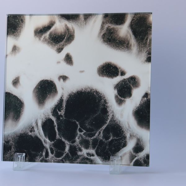 4mm 2mm 3mm 1mm Mirror Glass Sheets Large Wall Mounted Aluminum