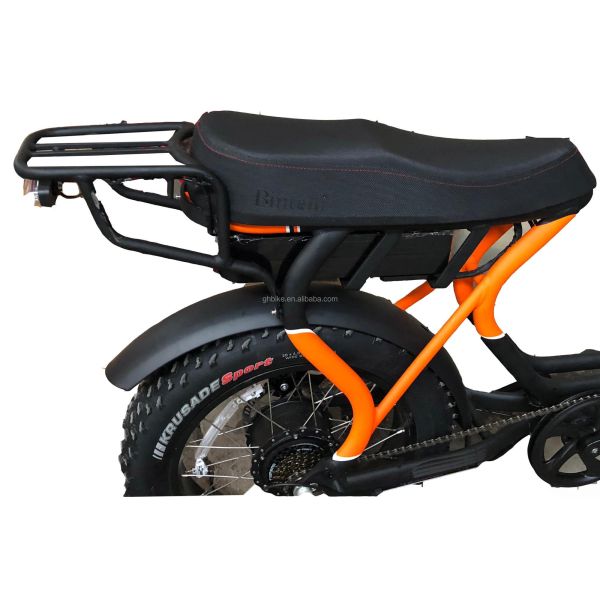 750W Brushless Motor Folding Fat E-Bike with 20inch Tire Big Power and Compact Size