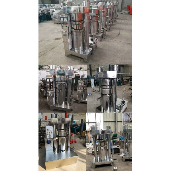 Automatic Coconut Oil Extractor Machine Press Seed Oil Mill Machinery Castor Bean Oil Expeller Machine