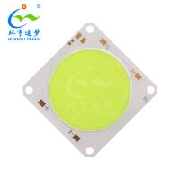 Luring Fish COB LED Chip 22000K 54V 300W 500W LED de alta potência COB