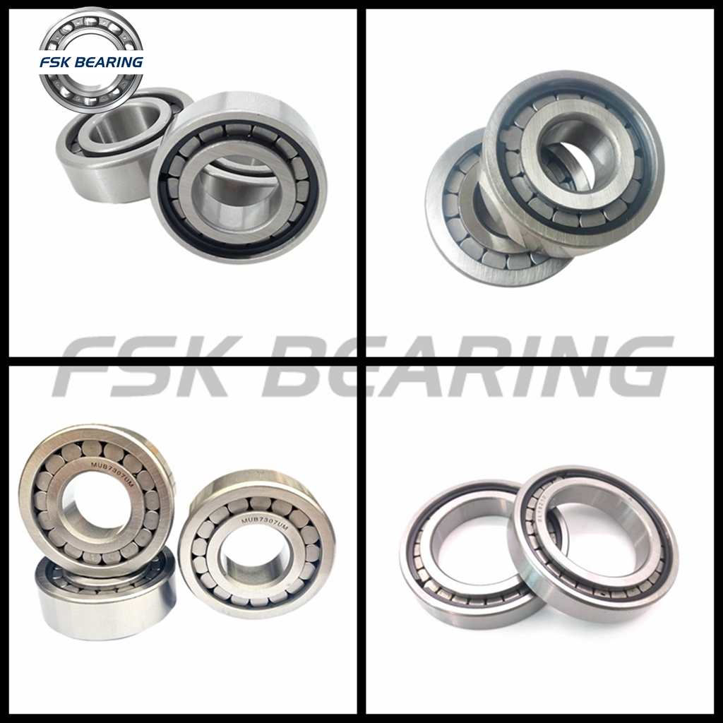 Full Complement 31 RUKSS2N C3 Cylindrical Roller Bearing Differential Parts