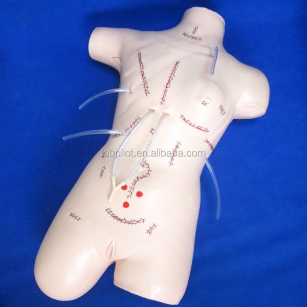 Realistic Appendectomy Teaching Model for Bandage and Suture Skills Surgical Dummy