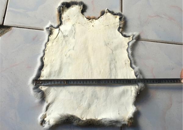 Pele genuína do coelho dos revestimentos para o lance do inverno, peles da pele do coelho do branco de 22*30cm 