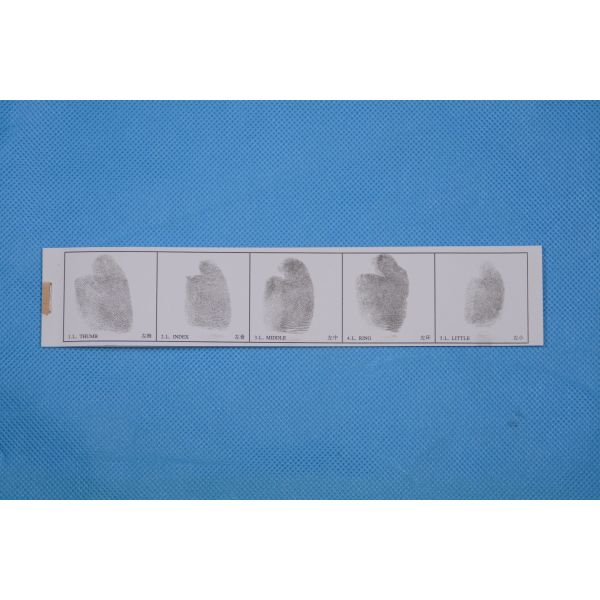 E039 Left hand fingerprint record strip