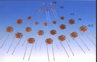 200K Ohm CDS Photoconductive Cell 5mm For Digital Camera , Mini Photocell Light Sensor