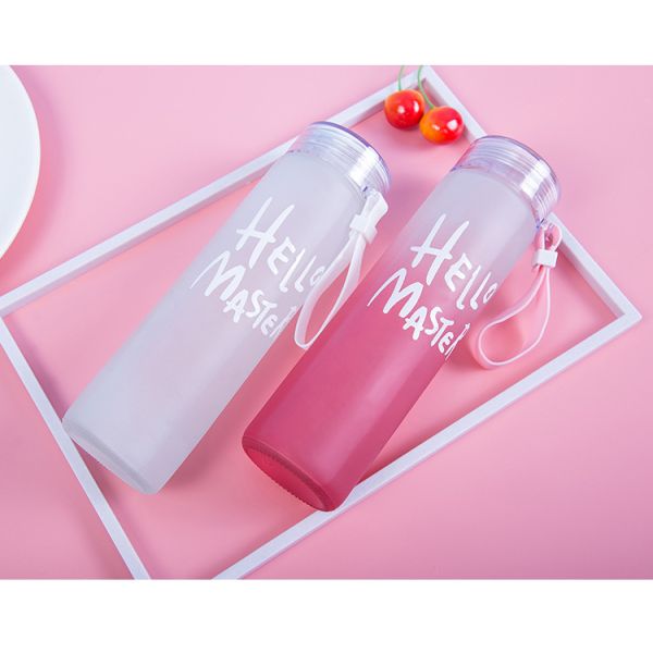 Красочная замороженная бутылка напитка 500мл, круглый легковес изолировала контейнеры напитка