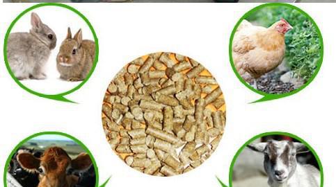 Best Selling Energy Saving Wood Pellet Mill / Pellet Machine