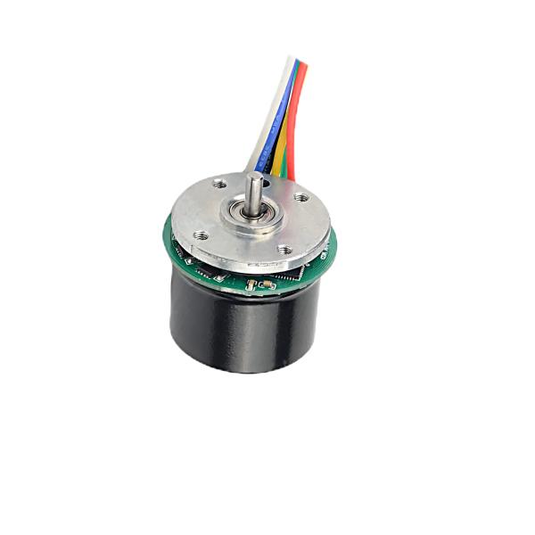 Smart Home Motor 200-2400G.CM 4100-12000RPM Brushless Motor For Fascia Gun