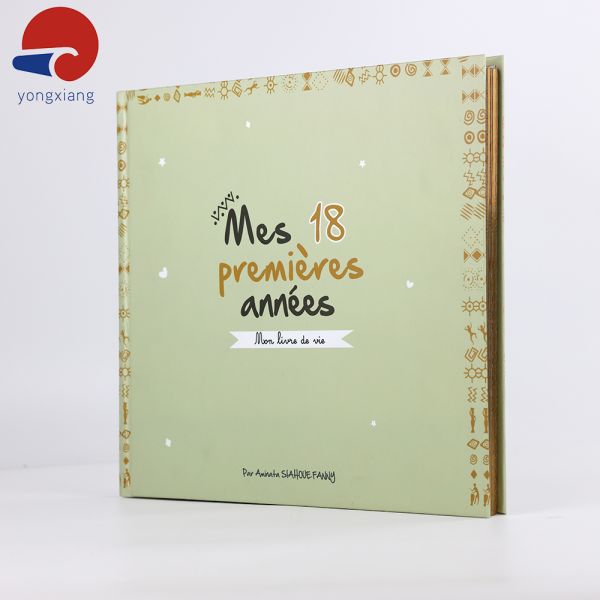 Offset Luxury Book Printing Eco Friendly Gold Edge Books With Flip Lid Folding Box