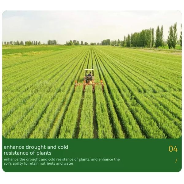 25 Kg de promoción de las raíces Fulfato de potasio 98 95 Superhumato de potasio 95 98 Fuente mineral Fulfato de potasio