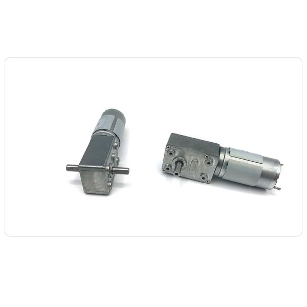 Customized Manufacturer FT-46SGM395-69K 12V Micro DC Gear Motor 24V Worm Gear Motor