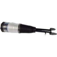 Front Tesla Shock Absorbers Gas llenó el modelo de choque de la suspensión del aire S 6006351-00-C 2011-2016