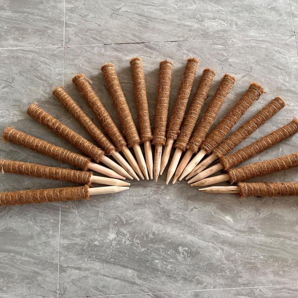 Support de la plante de la mousse de la perche d'escalade Poteaux de noix de coco Plantes de couleur palmier