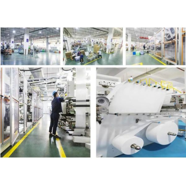 Pantalones para adultos de un solo uso Muebles de muestras gratuitas Pantalones para ancianos Pantalones para adultos de alta absorción