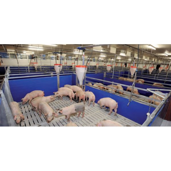Hygienic Livestock Farm Equipment Galvanized Steel Fattening Pigs Cage