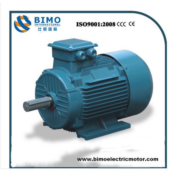 Ie2 Three-Phase Electrical Motor (TEFC, IP55)