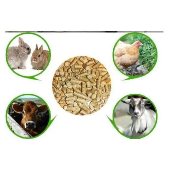 ZLSP120A 8HP Feed Pellet Maker Poultry Animal Food Pure Copper Motor