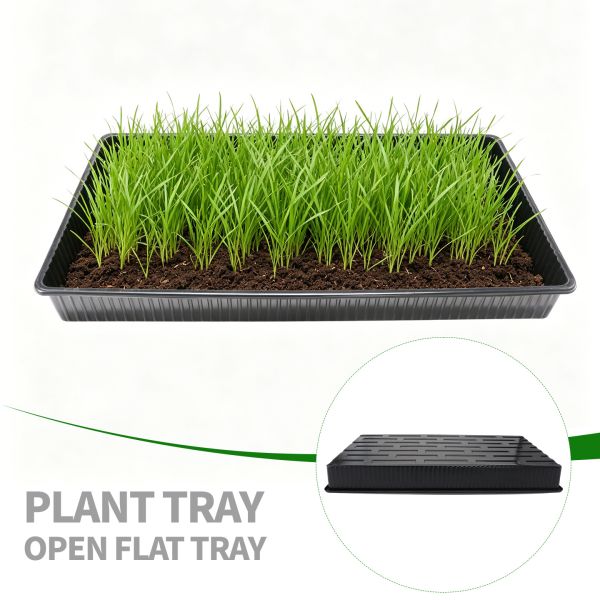 Customized Black PET/PP Rectangular Flat Bottomed Seedling Tray For Cat Grass And Rice Seedling Pot
