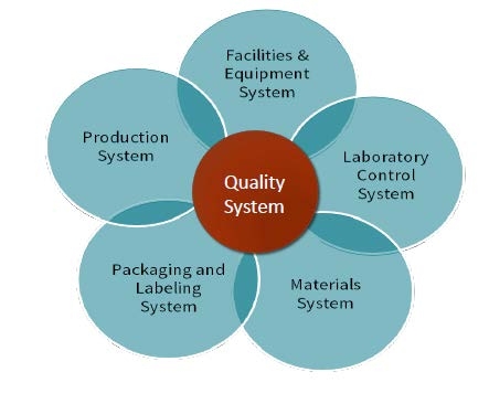 Qingdao Running Machine Co.,Ltd