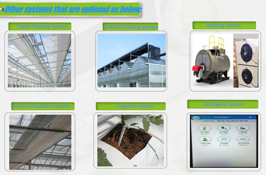 Anti Reflective Automatic Venlo Glass Greenhouse With Agricultural Farming Systems