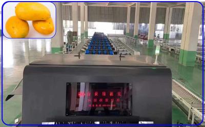 Detecte o classificador inteligente da manga de 2 canais de Sugar Mechanical Fruit Sorting Machine