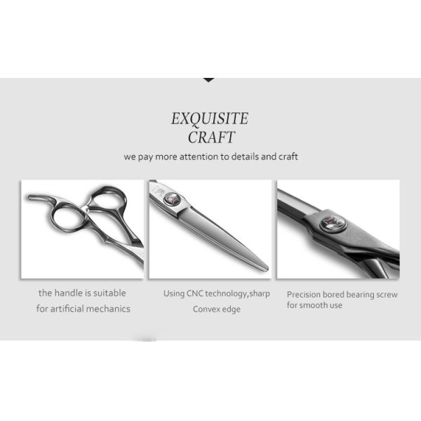 5.5 Inch Professional Titanium Hair Scissors Beautiful Shape High Sharpness