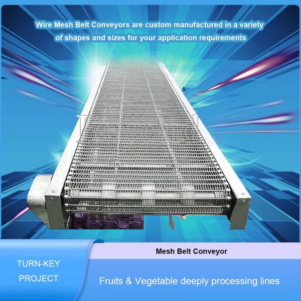 SS304 Mango Pineapple Mesh Fruit Conveyor Belt Corrosion Resistant