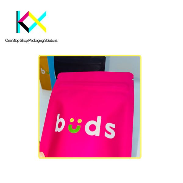 Multiple SKUs Plastic Pouch Bags With Moisture Proof Matte Stand Up Pouches