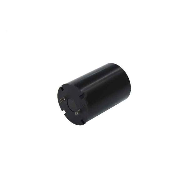 Faradyi Custom Professional Manufacturer 17*25Mmm 20000rpm 8V 12V DC Brushed Coreless Motor With Encoder For Jet Ski