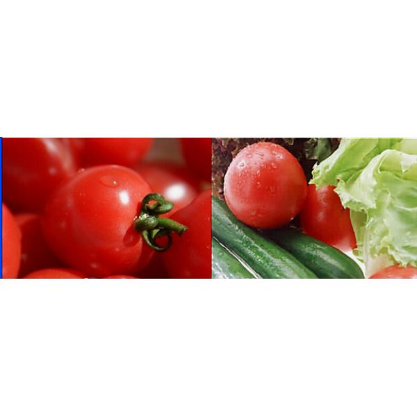 Fresh Fruit And Vegetable Processing Machinery Cleaning Equipment High Efficiency