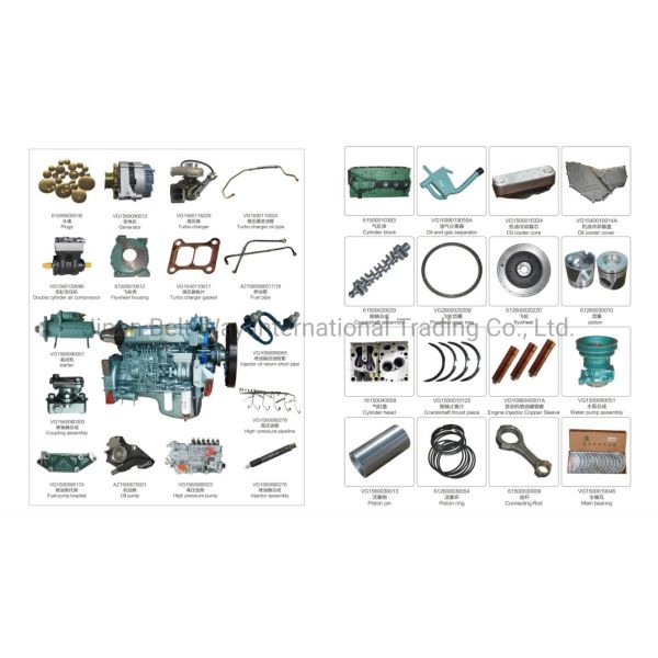 Часть No Dz9100130028 Силовой рулевой насос для Shacman Delong от Sino Truk Parts