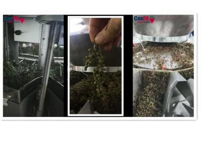 Pesador de Multihead da máquina de peso de Multihead para a máquina de enchimento impermeável verde vegetal da cinza espinhosa