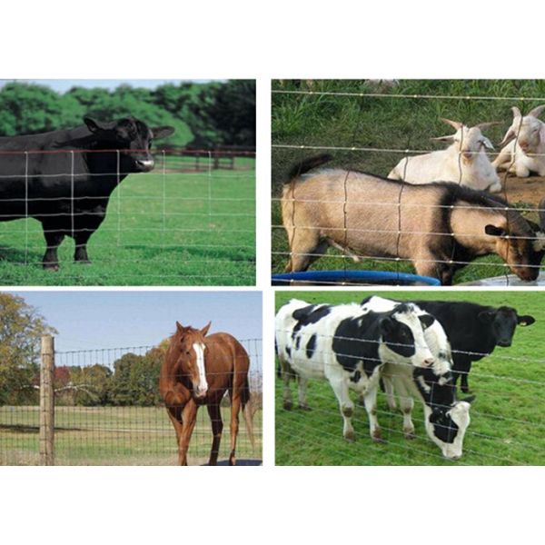 Animals Enclosure Farm Fence Gate / Cattle Cattle Panel Fence 0.6-2.5m Height